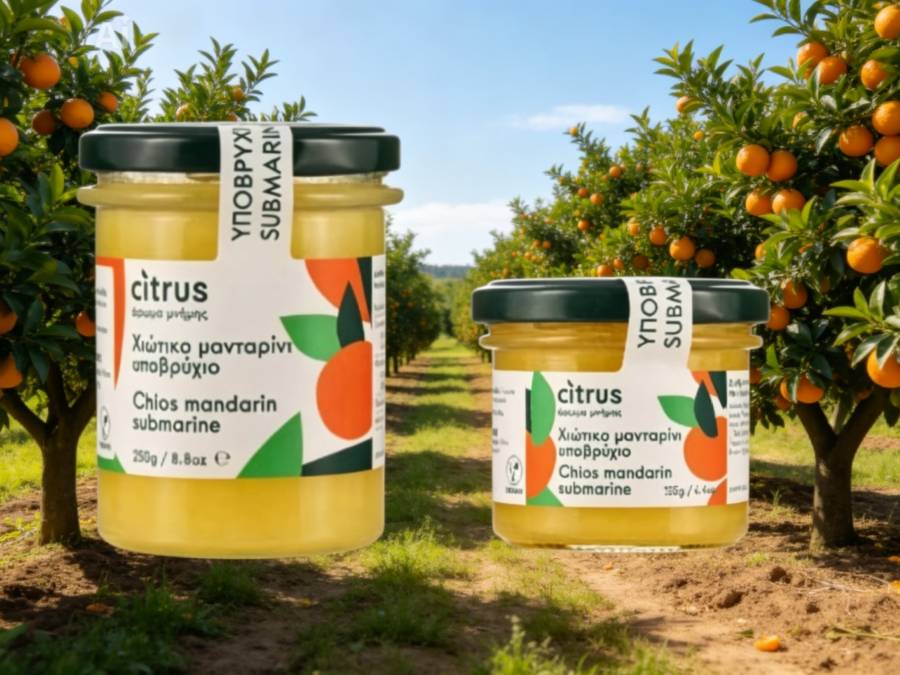 Chian Tangerine Hypovrichio (submarine) Citrus Chian Tangerine Hypovrichio (submarine) Citrus